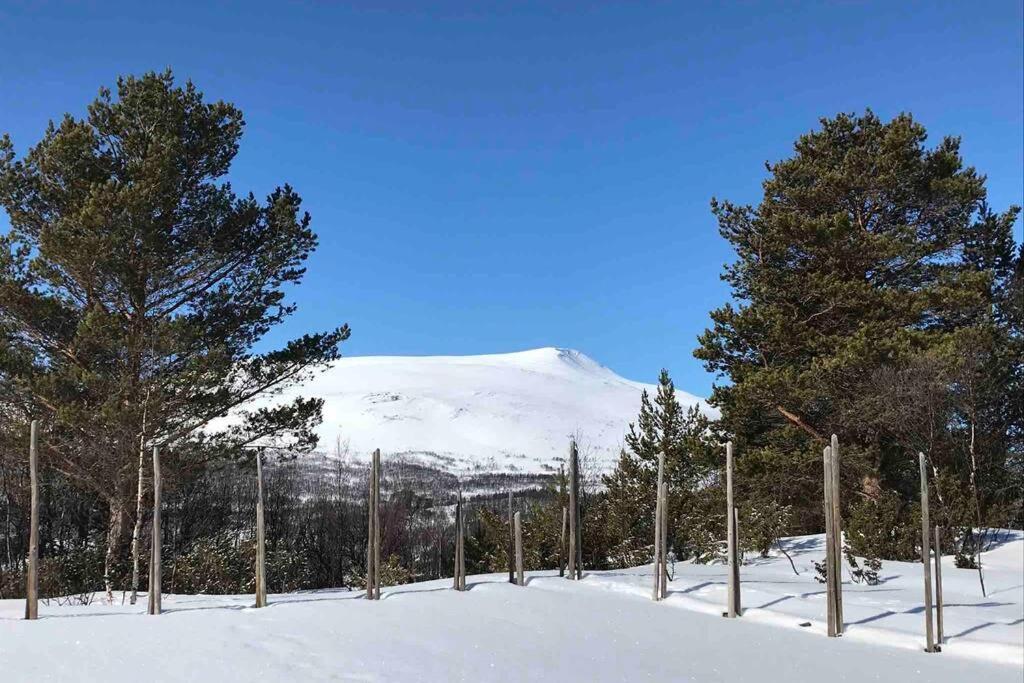 Fjellro Mountain Cabin Oppdal Kültér fotó